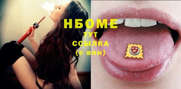 стаф Аркадак