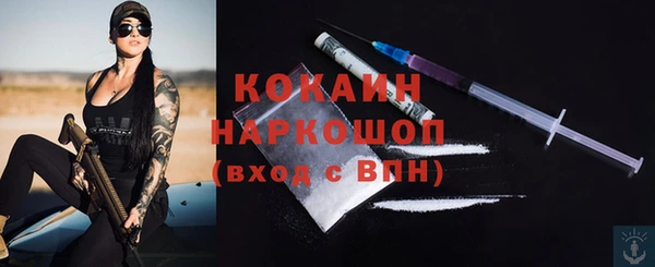 ешки Семилуки