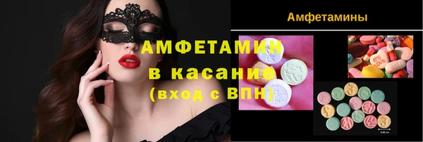 стаф Аркадак