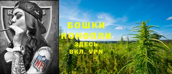 первитин Балахна