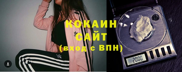 стаф Аркадак